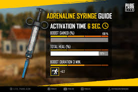 Adrenaline Syringe