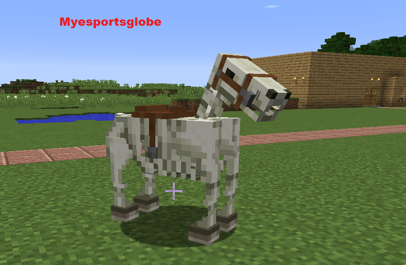 Skeleton Horse Minecraft SMite Enchantment